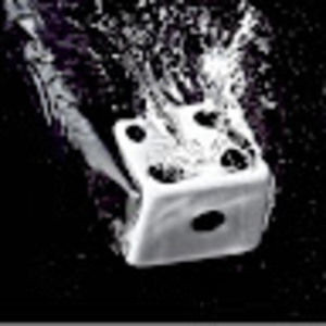 Meet your Posher, Carolynn